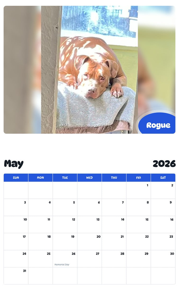 2026 - 2027 Rogue - Pawidols Pet Calendar