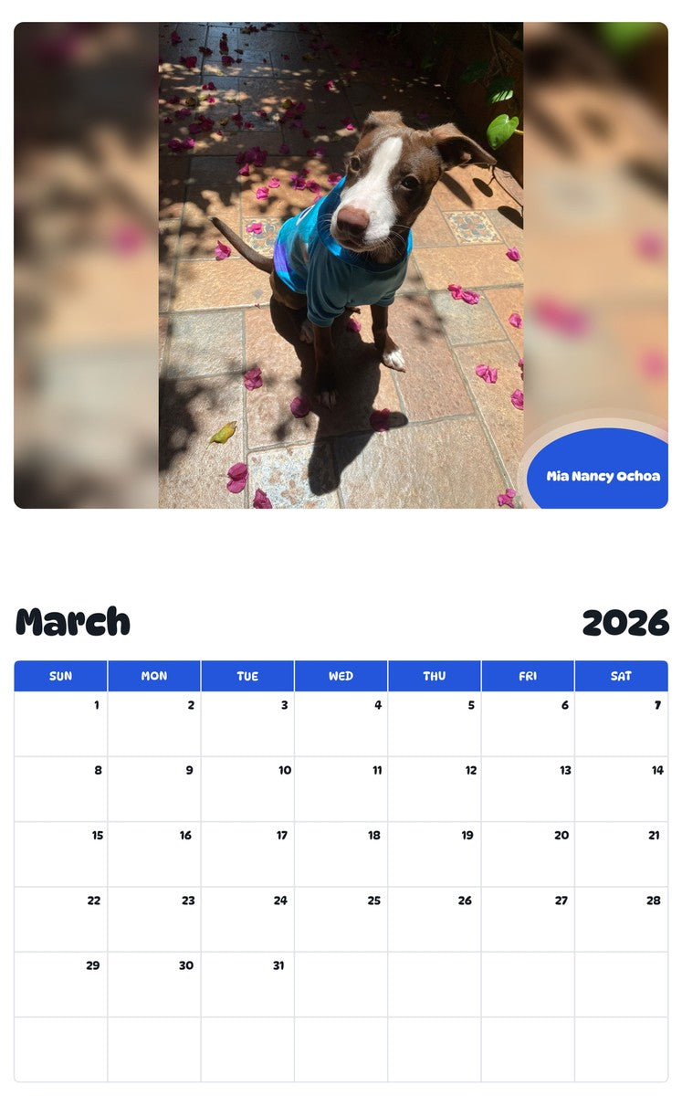 November 2025 - October 2026 Mia Nancy Ochoa - Pawidols Pet Calendar