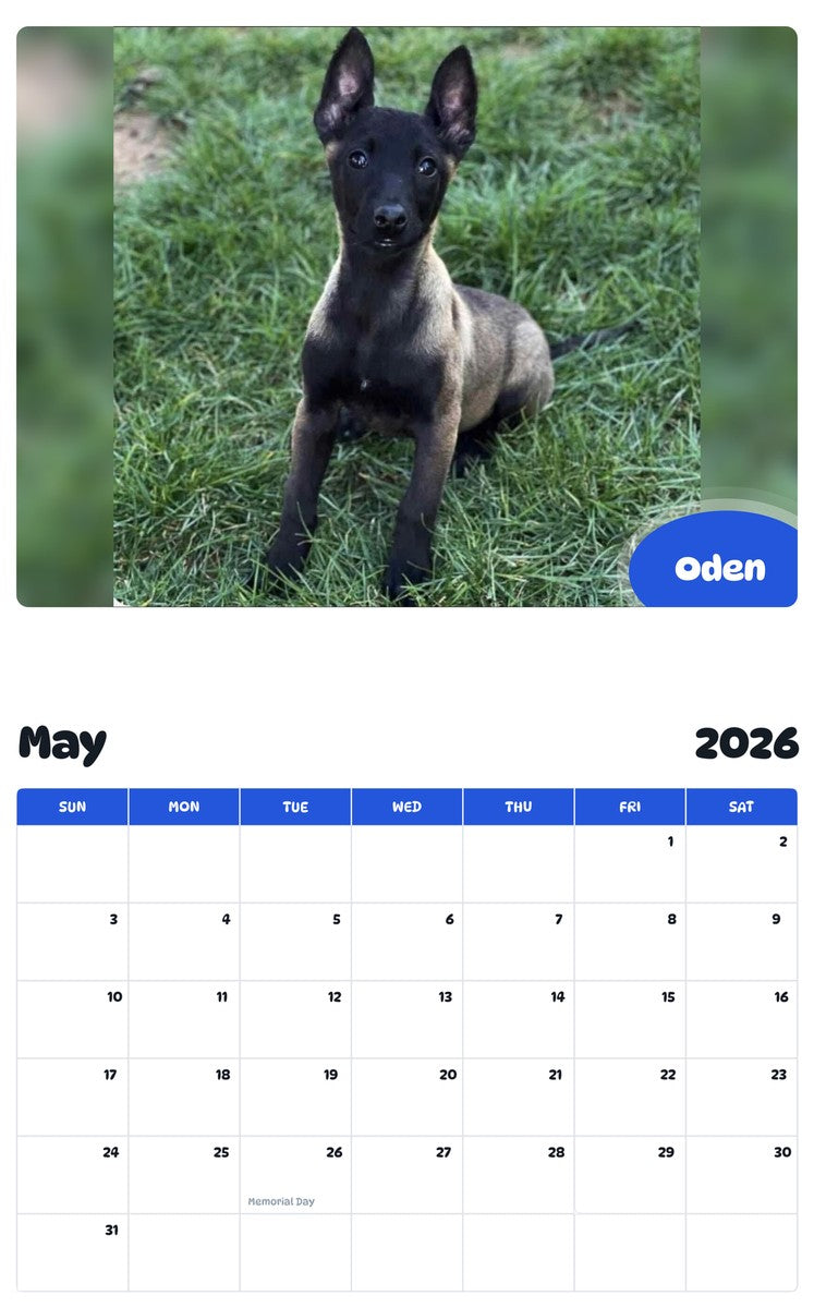 2026 - 2027 Oden - Pawidols Pet Calendar