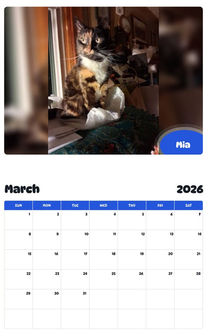 November 2025 - October 2026 Mia - Pawidols Pet Calendar