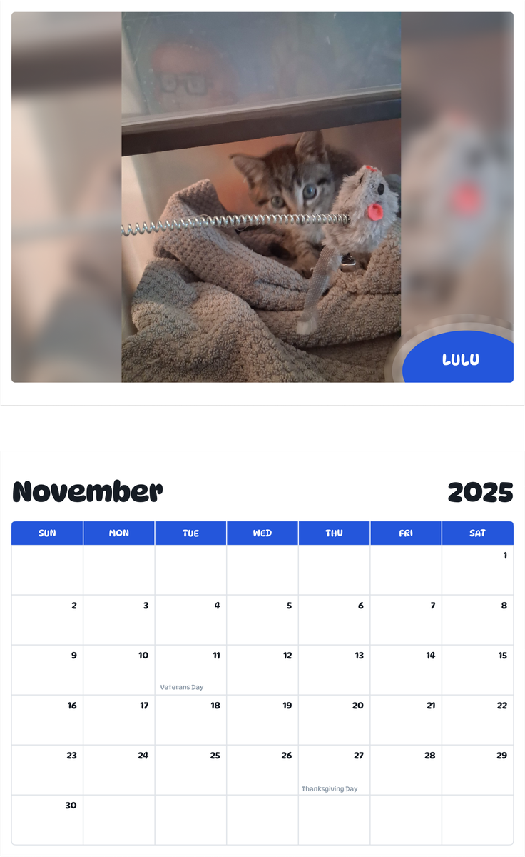 July 2025 - June 2026 Lulu - Pawidols Pet Calendar