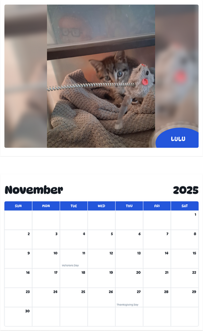 July 2025 - June 2026 Lulu - Pawidols Pet Calendar