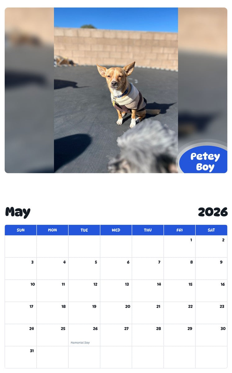 2026 - 2027 Petey Boy - Pawidols Pet Calendar
