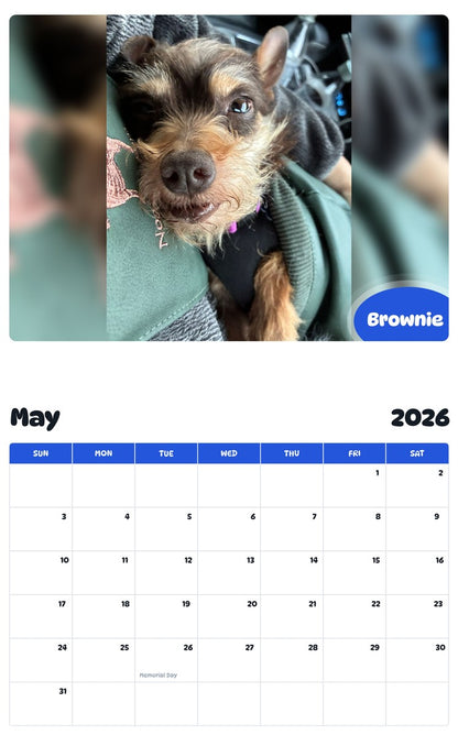 2026 - 2027 Brownie - Pawidols Pet Calendar