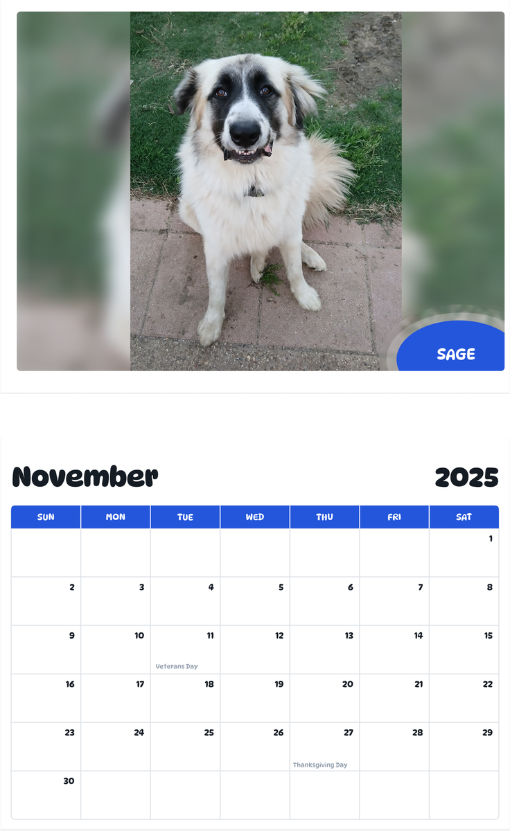 July 2025 - June 2026 Sage - Pawidols Pet Calendar