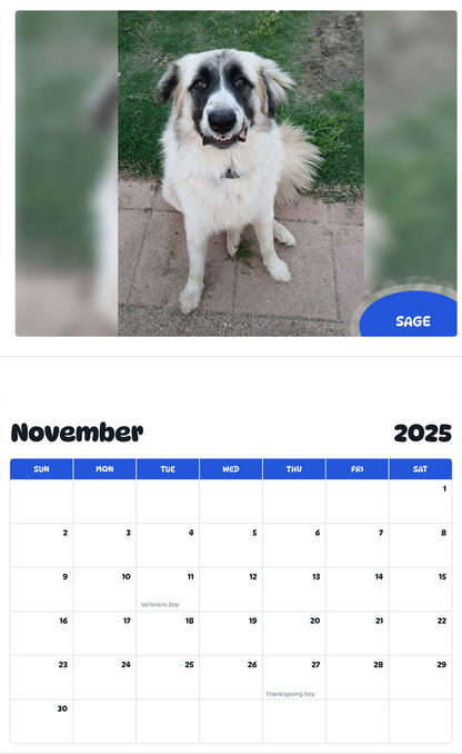 July 2025 - June 2026 Sage - Pawidols Pet Calendar