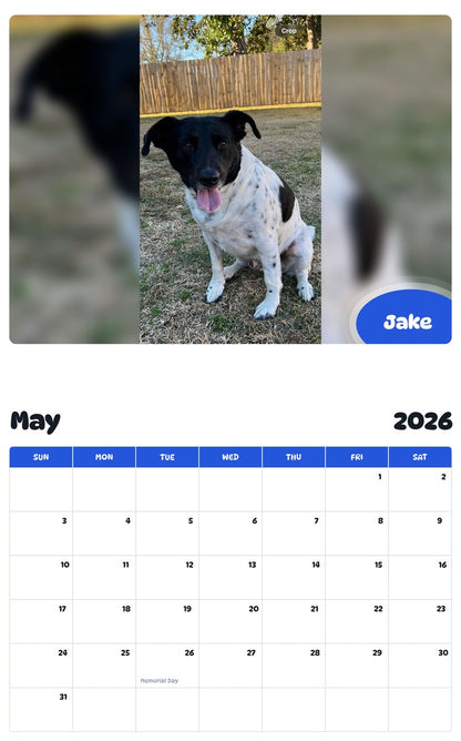 2026 - 2027 Jake - Pawidols Pet Calendar