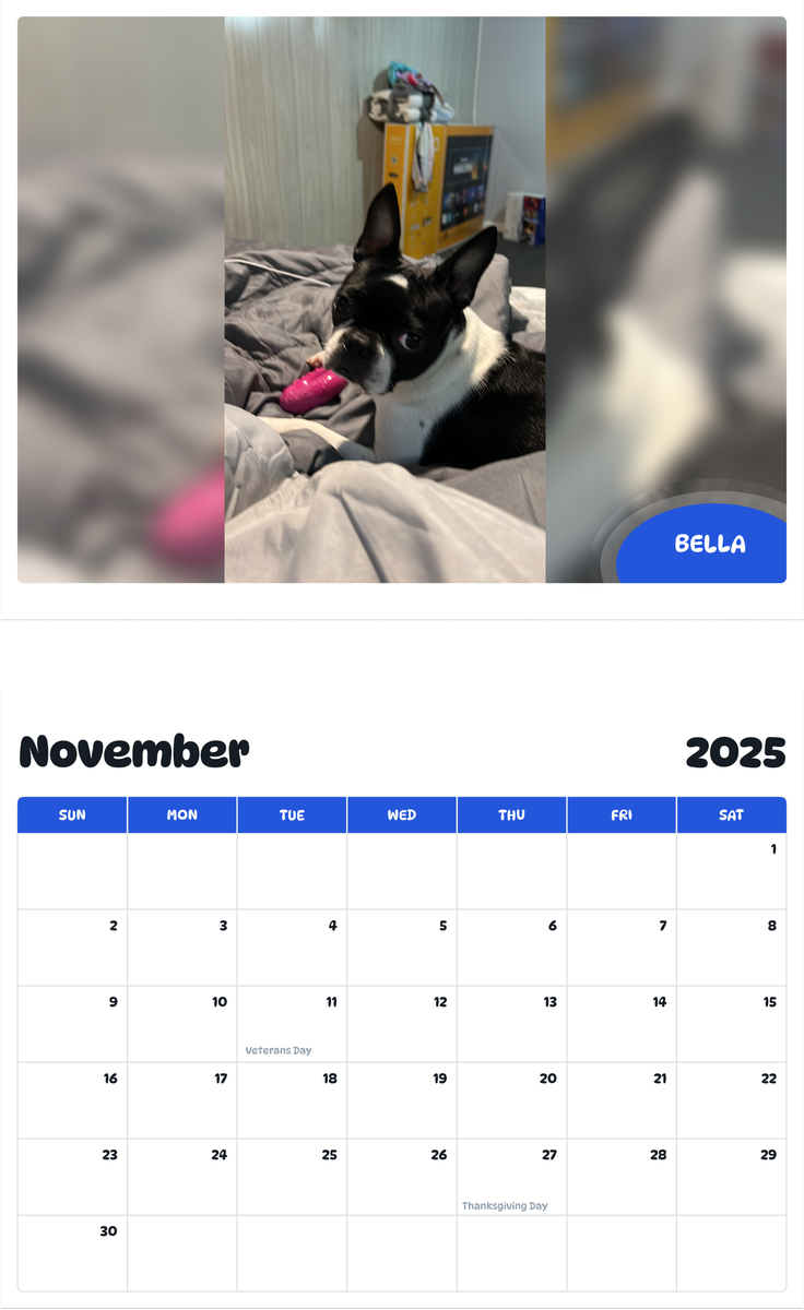 July 2025 - June 2026 Bella - Pawidols Pet Calendar