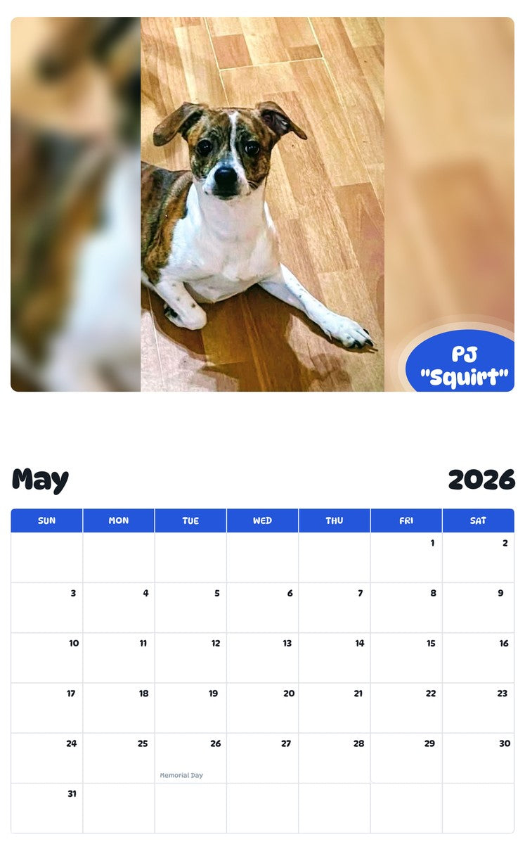 2026 - 2027 PJ "Squirt" - Pawidols Pet Calendar