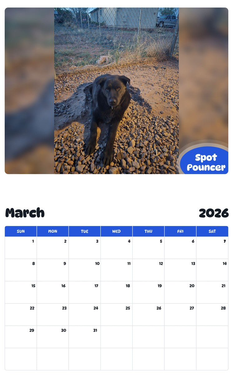 November 2025 - October 2026 Spot Pouncer - Pawidols Pet Calendar