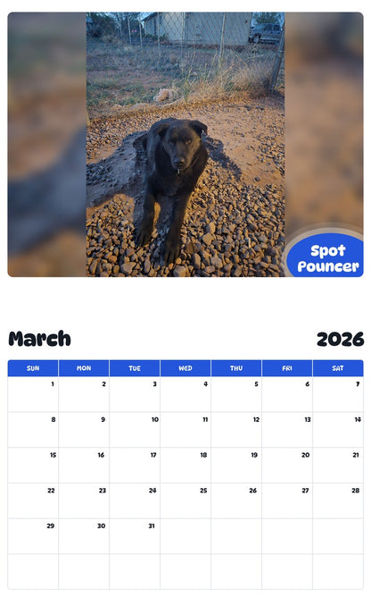 November 2025 - October 2026 Spot Pouncer - Pawidols Pet Calendar
