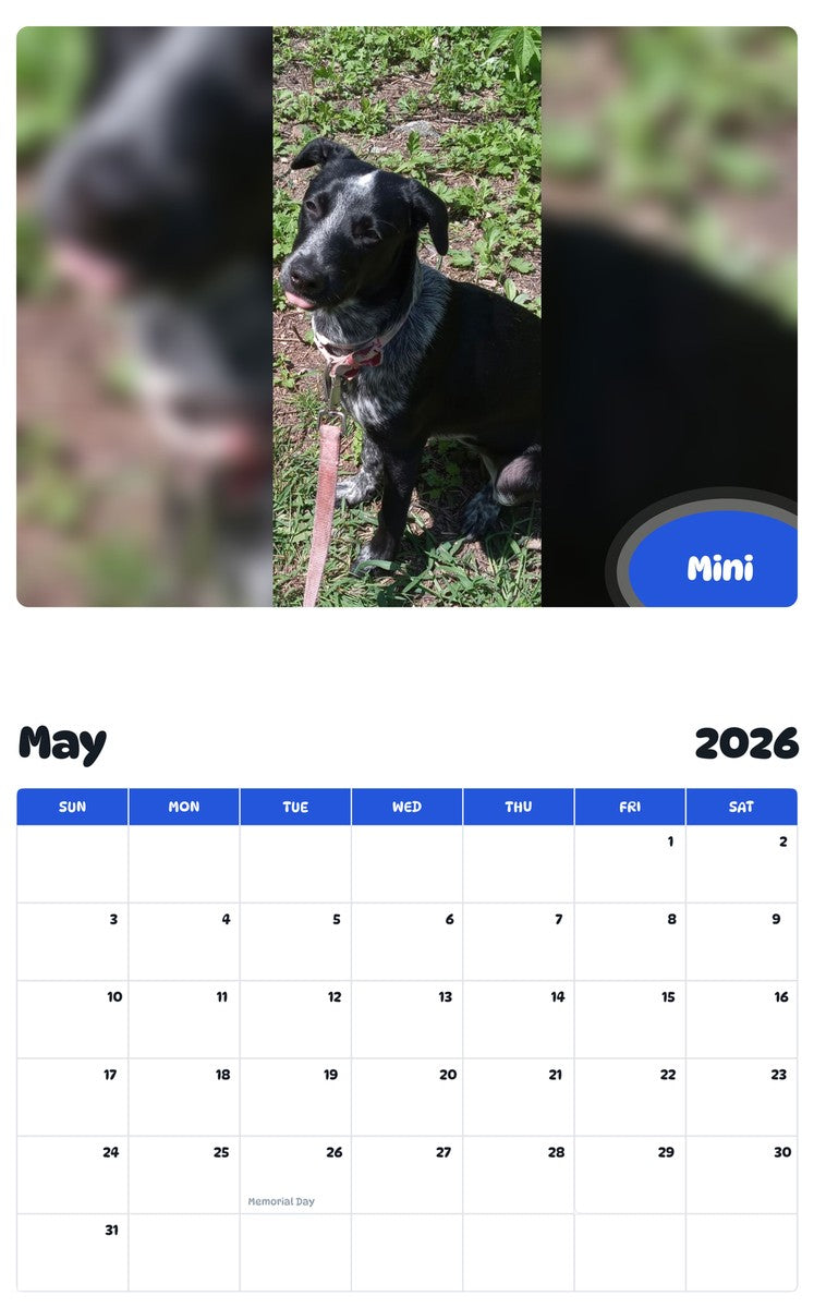 2026 - 2027 Mini - Pawidols Pet Calendar