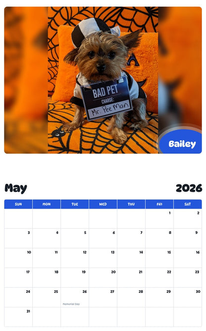 2026 - 2027 Bailey - Pawidols Pet Calendar
