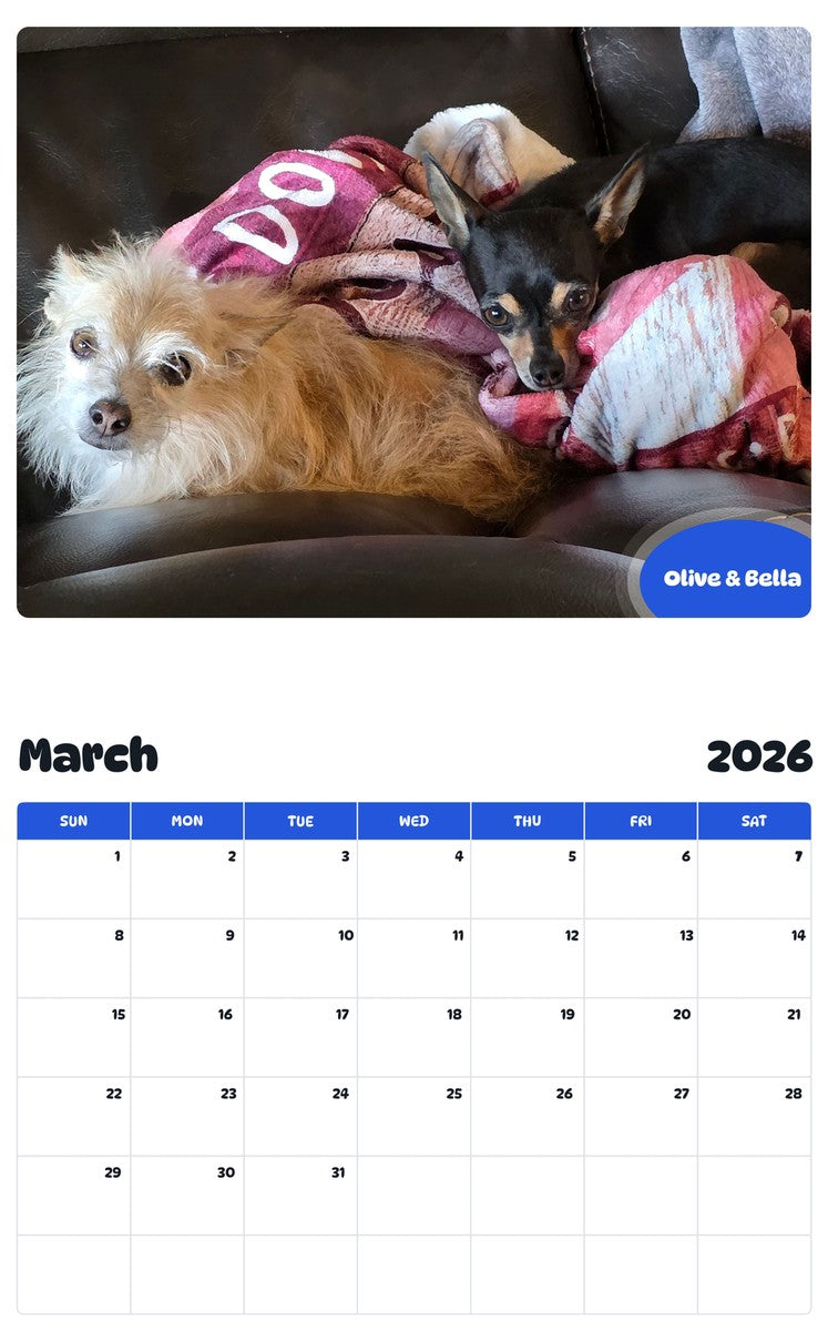 November 2025 - October 2026 Olive & Bella - Pawidols Pet Calendar