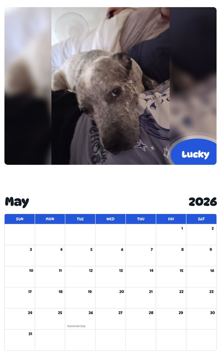 2026 - 2027 Lucky - Pawidols Pet Calendar
