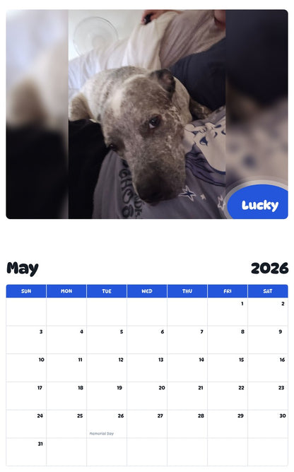 2026 - 2027 Lucky - Pawidols Pet Calendar