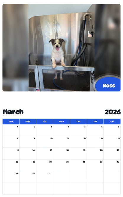 November 2025 - October 2026 Ross - Pawidols Pet Calendar