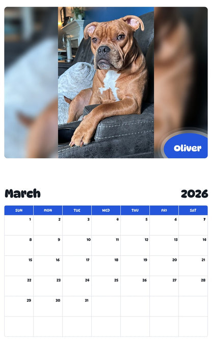 November 2025 - October 2026 Oliver - Pawidols Pet Calendar