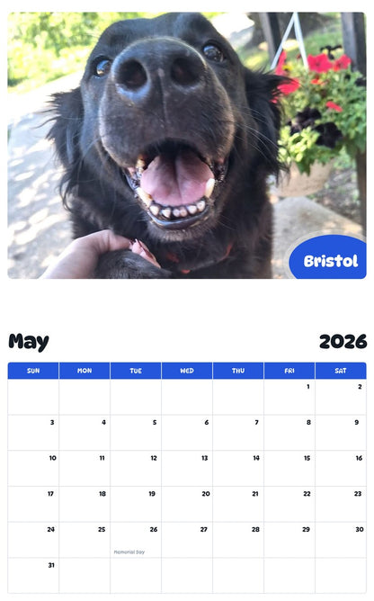 2026 - 2027 Bristol - Pawidols Pet Calendar
