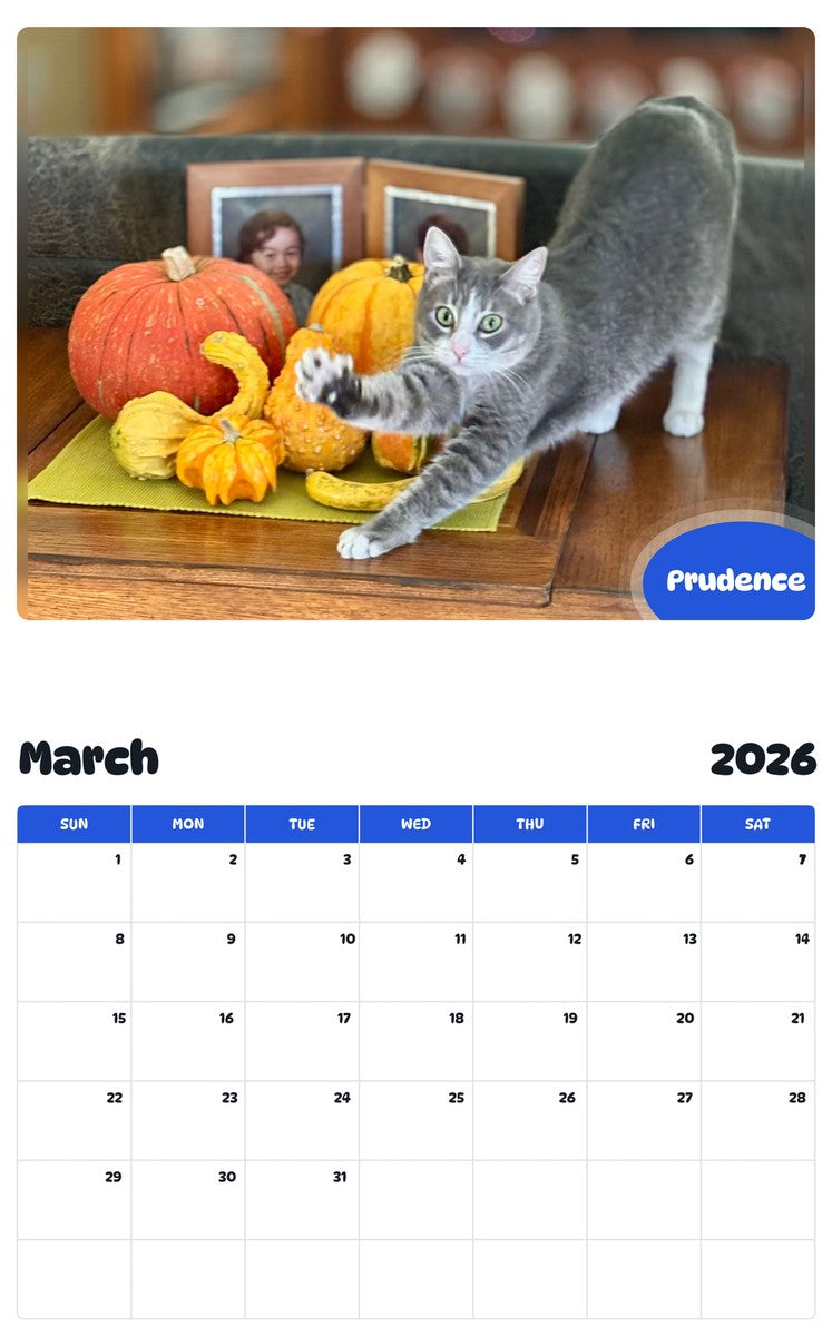 November 2025 - October 2026 Prudence - Pawidols Pet Calendar