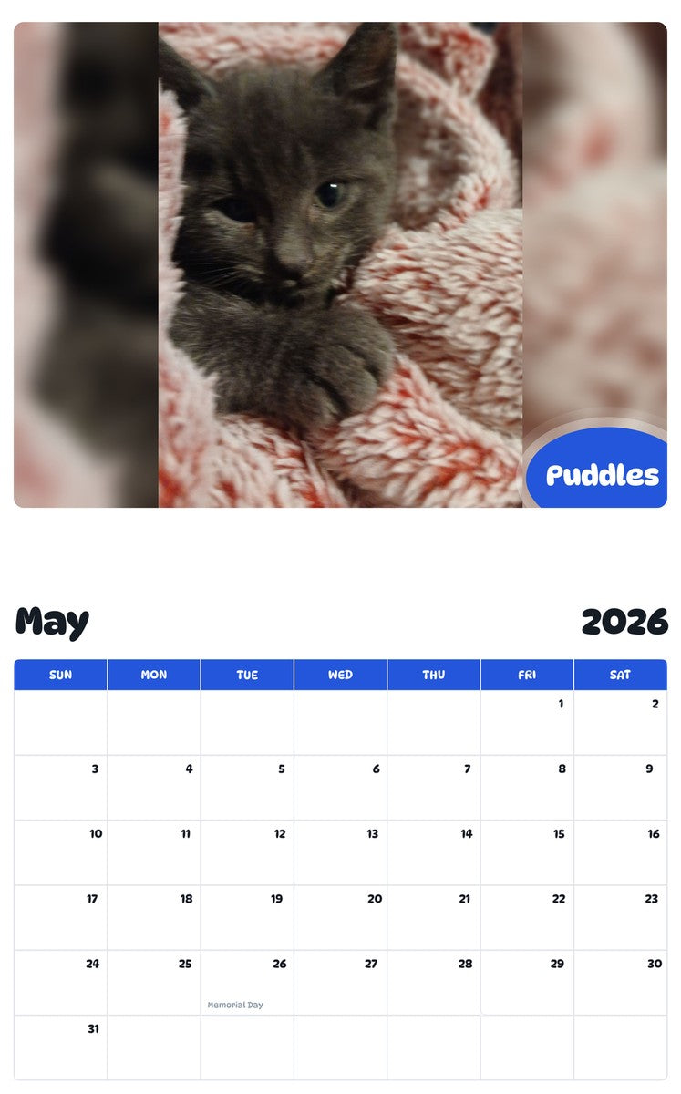 2026 - 2027 Puddles - Pawidols Pet Calendar