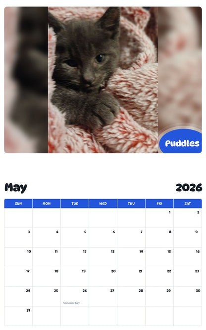 2026 - 2027 Puddles - Pawidols Pet Calendar