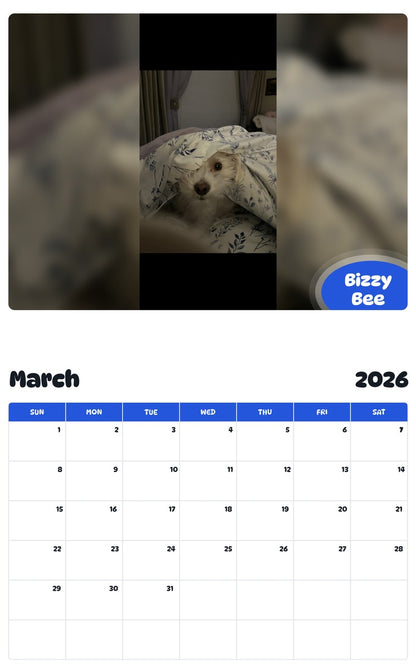 November 2025 - October 2026 Bizzy Bee - Pawidols Pet Calendar