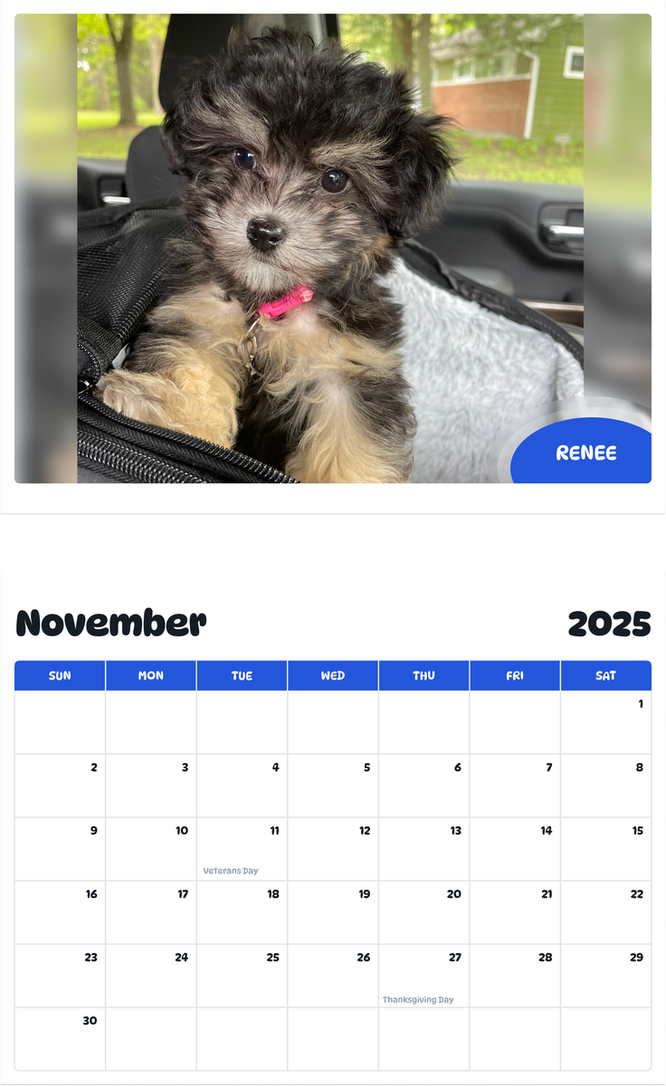 July 2025 - June 2026 Renee - Pawidols Pet Calendar