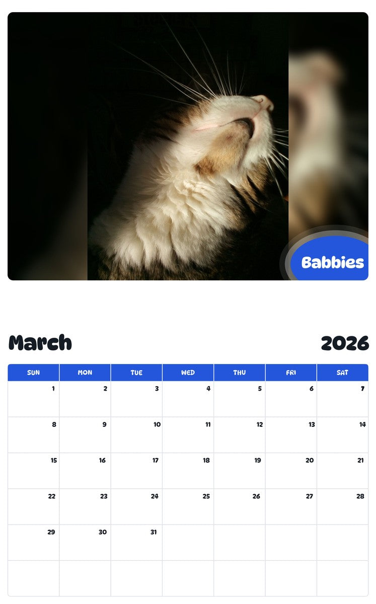 November 2025 - October 2026 Babbies - Pawidols Pet Calendar