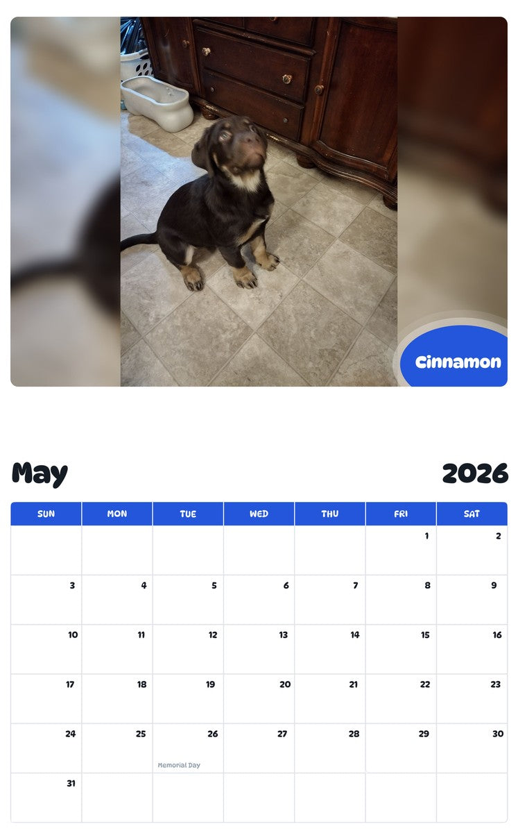 2026 - 2027 Cinnamon - Pawidols Pet Calendar