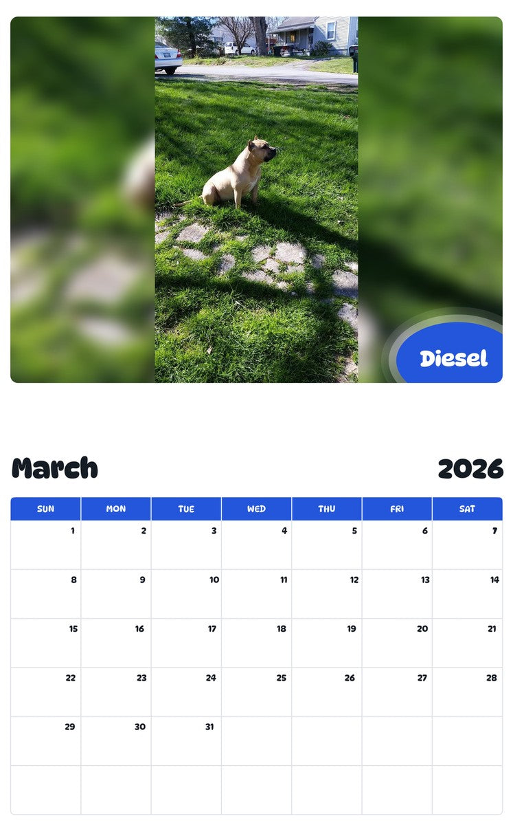 November 2025 - October 2026 Diesel - Pawidols Pet Calendar
