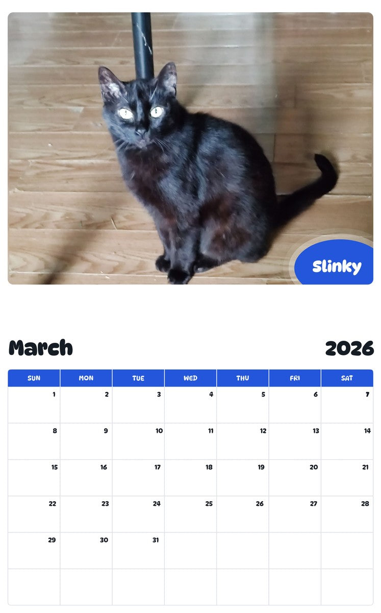 November 2025 - October 2026 Slinky - Pawidols Pet Calendar
