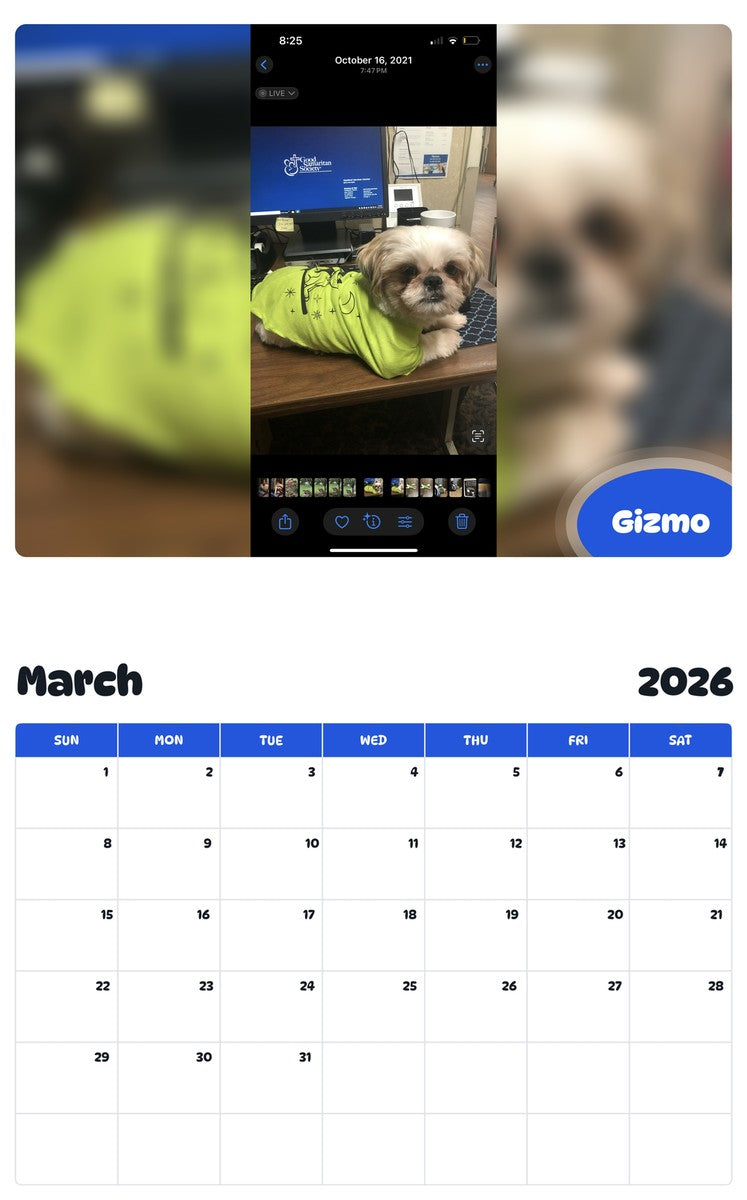 November 2025 - October 2026 Gizmo - Pawidols Pet Calendar