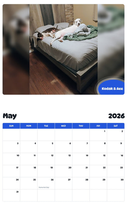 2026 - 2027 Kodak & Ace - Pawidols Pet Calendar