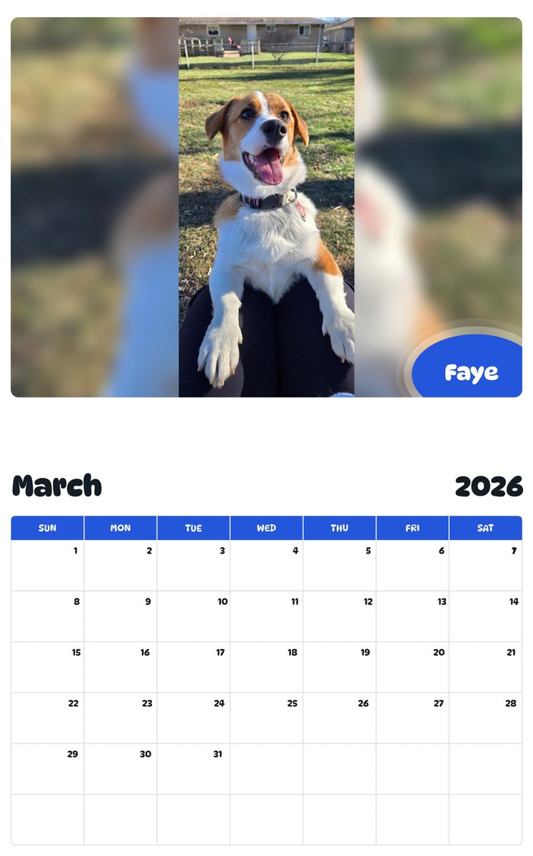 November 2025 - October 2026 Faye - Pawidols Pet Calendar
