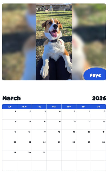 November 2025 - October 2026 Faye - Pawidols Pet Calendar