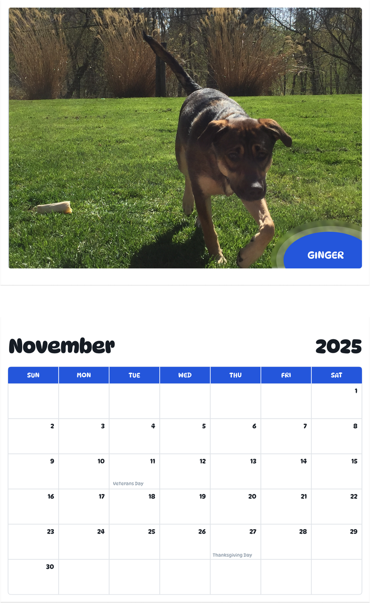 July 2025 - June 2026 Ginger - Pawidols Pet Calendar