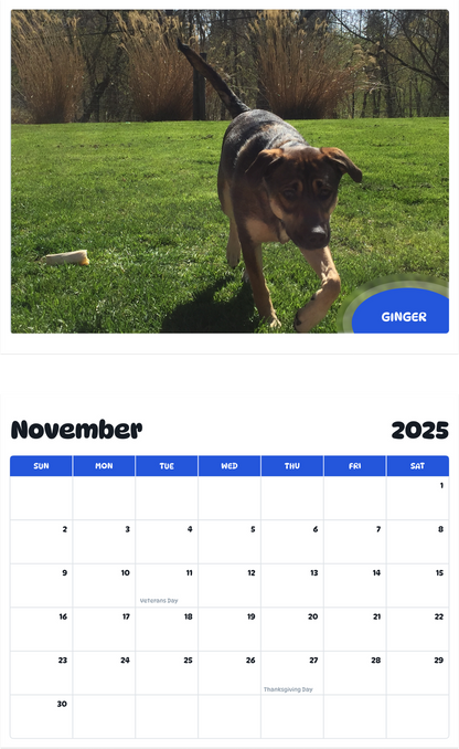 July 2025 - June 2026 Ginger - Pawidols Pet Calendar
