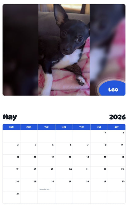 2026 - 2027 Leo - Pawidols Pet Calendar