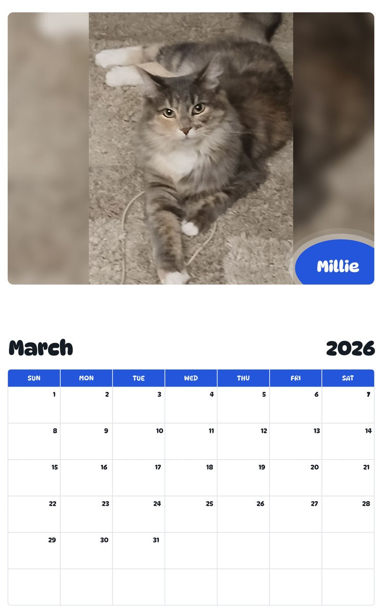 November 2025 - October 2026 Millie - Pawidols Pet Calendar