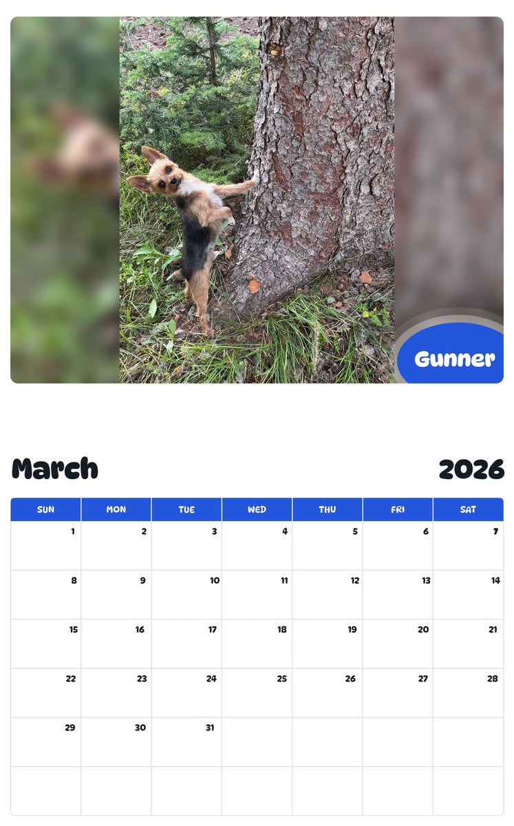 November 2025 - October 2026 Gunner - Pawidols Pet Calendar