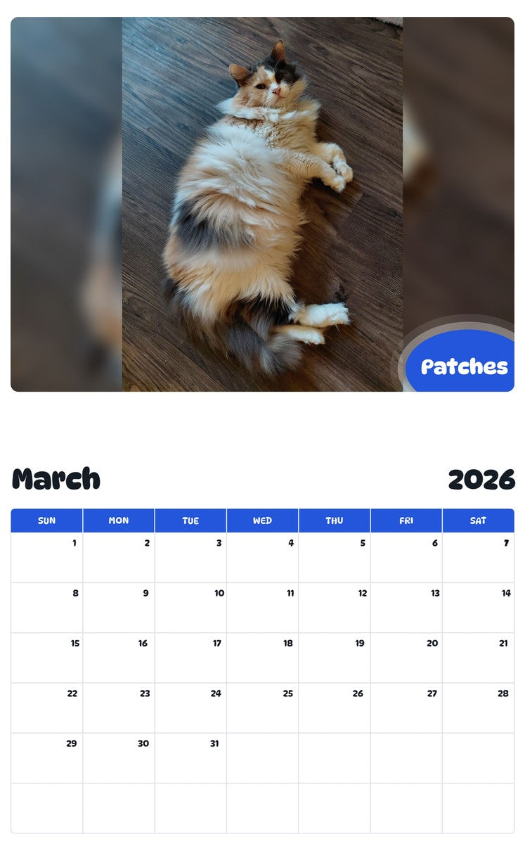 November 2025 - October 2026 Patches - Pawidols Pet Calendar