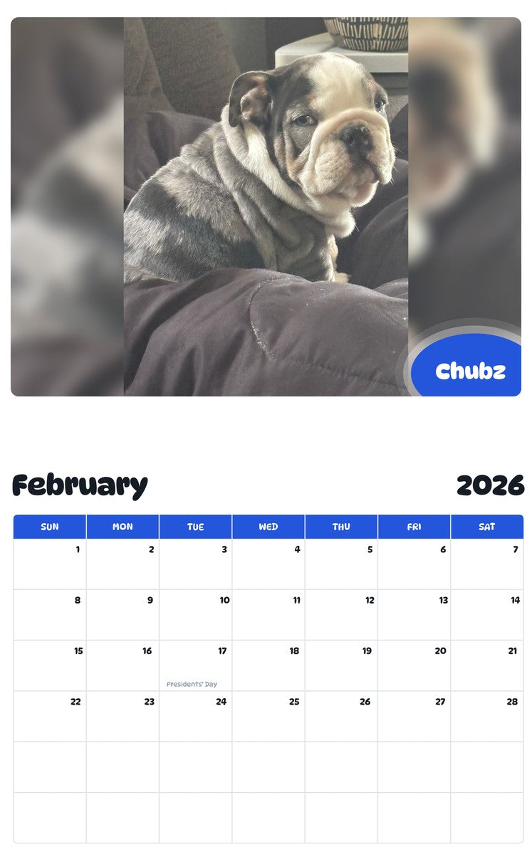 November 2025 - October 2026 Chubz - Pawidols Pet Calendar