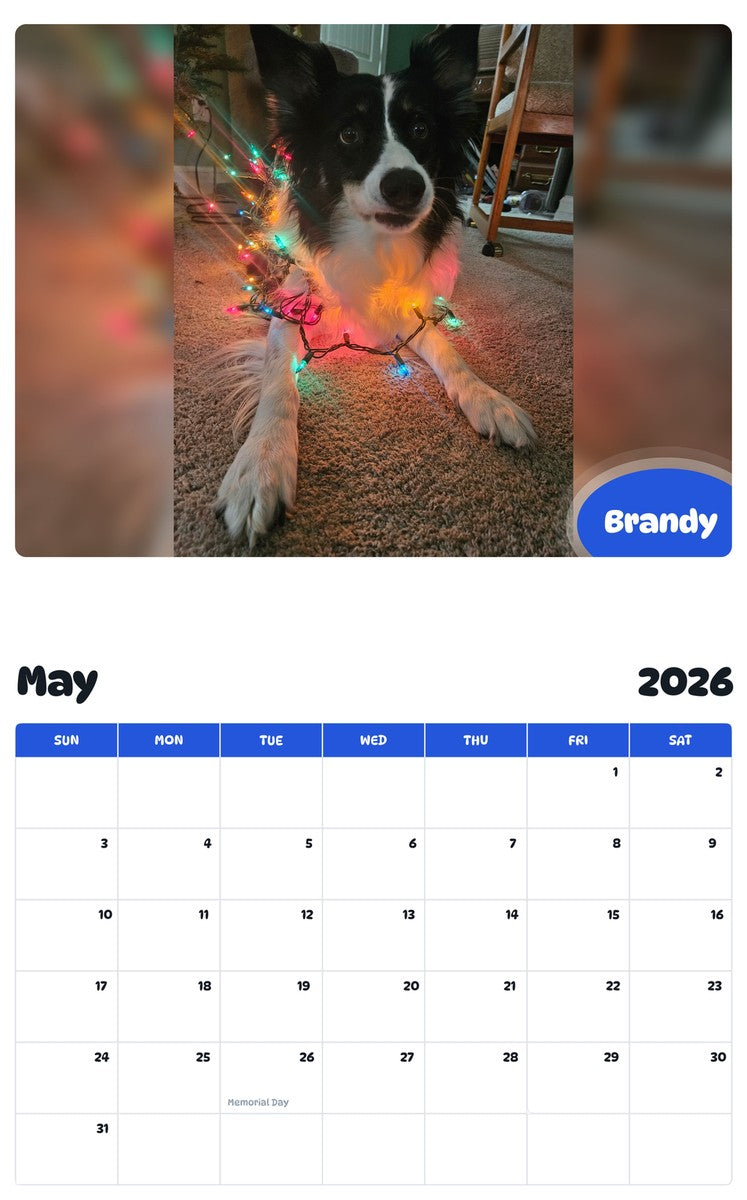 2026 - 2027 Brandy - Pawidols Pet Calendar