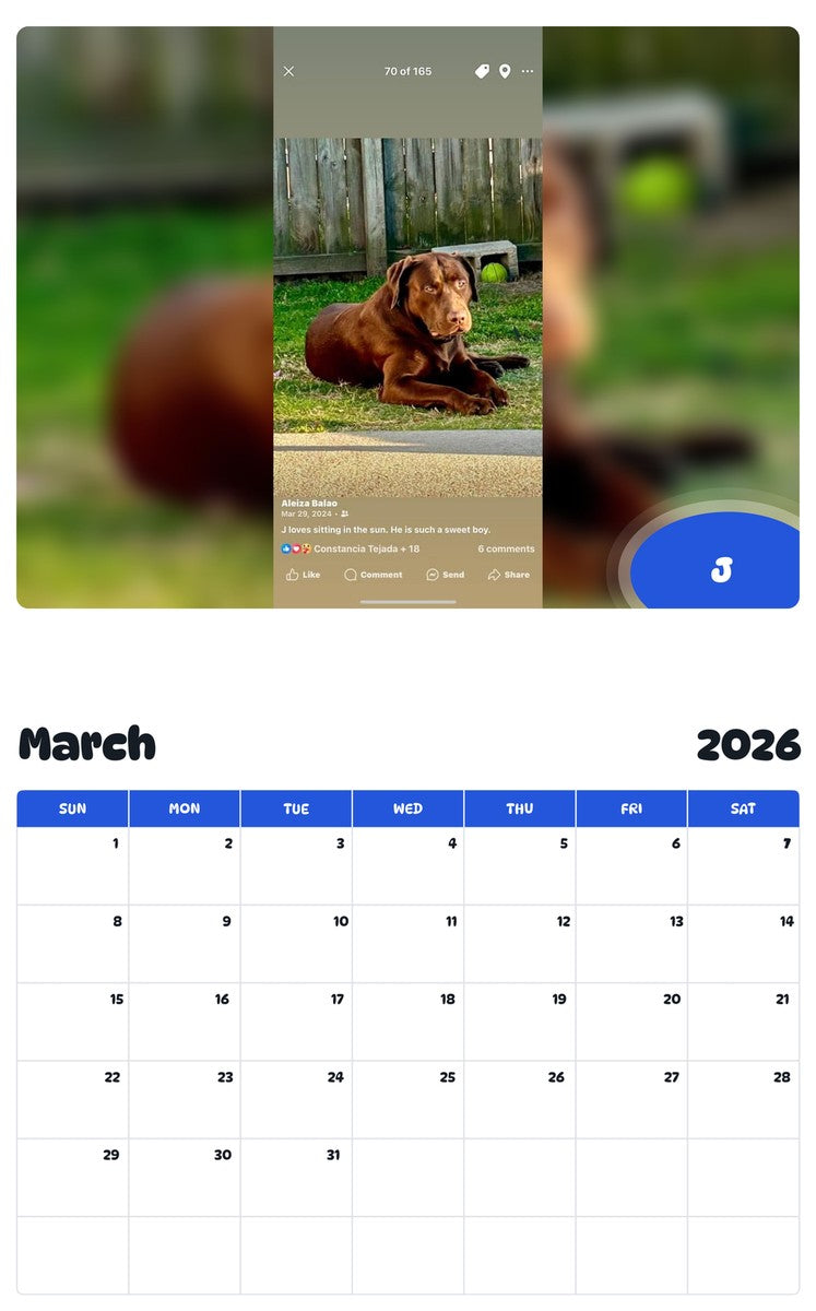 November 2025 - October 2026 J - Pawidols Pet Calendar
