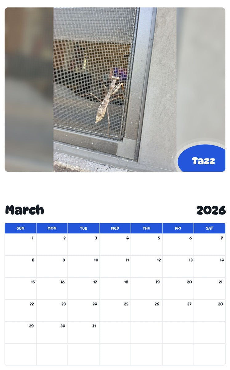 November 2025 - October 2026 Tazz - Pawidols Pet Calendar