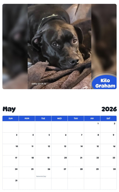 2026 - 2027 Kilo Graham - Pawidols Pet Calendar