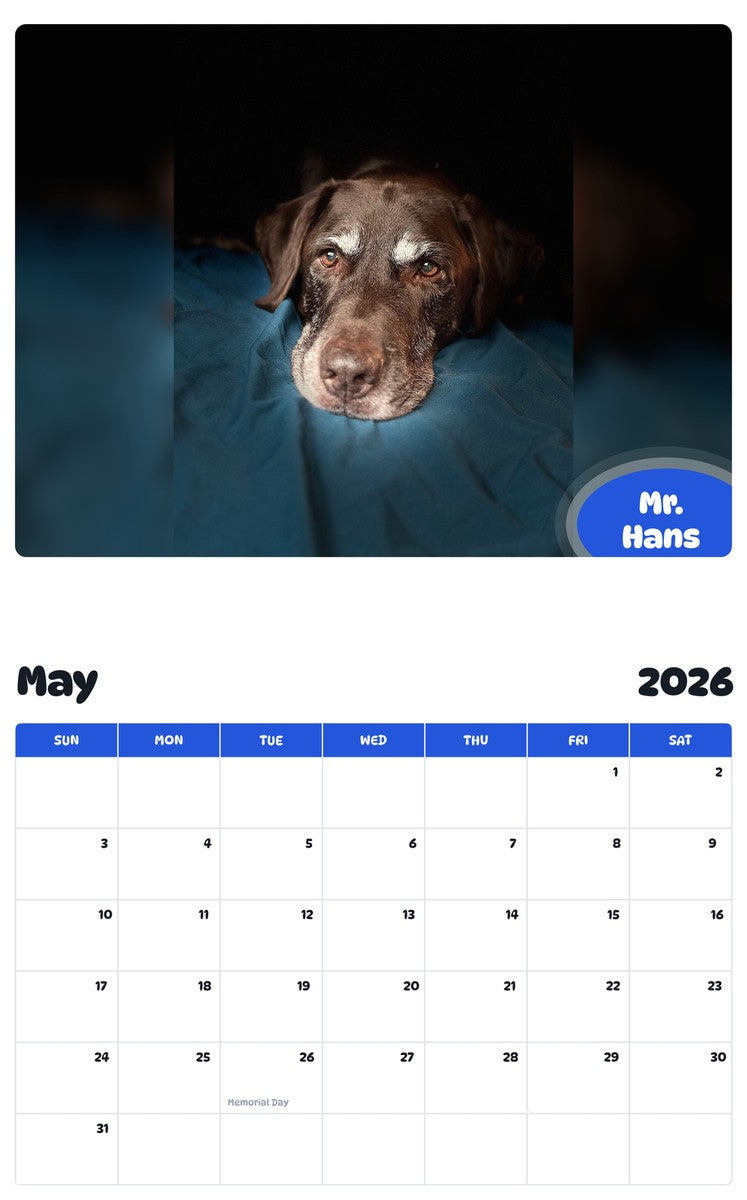 2026 - 2027 Mr. Hans - Pawidols Pet Calendar