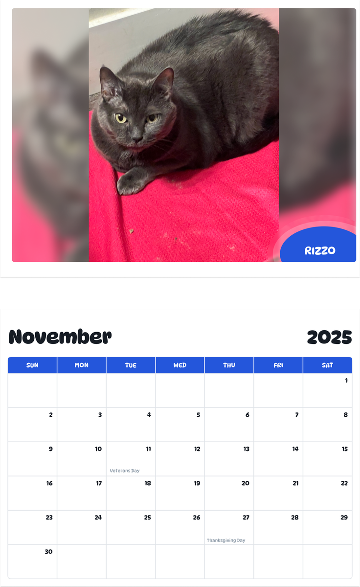 July 2025 - June 2026 Rizzo - Pawidols Pet Calendar
