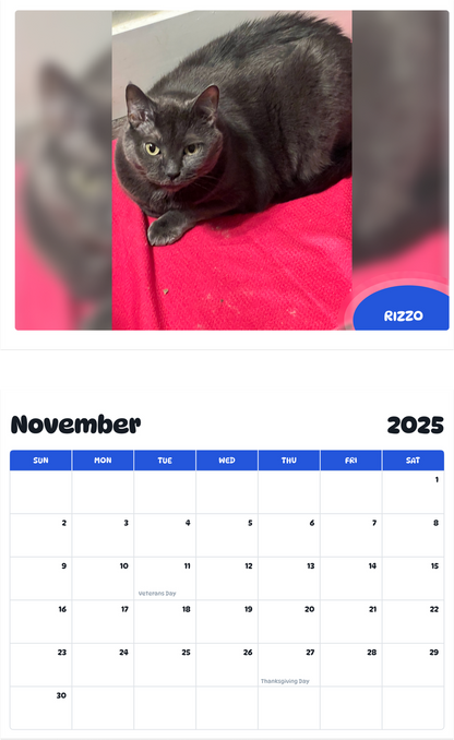 July 2025 - June 2026 Rizzo - Pawidols Pet Calendar